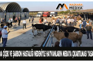 Keşan'da çiçek ve şarbon hastalığı nedeniyle hayvanların meraya çıkartılması yasaklandı