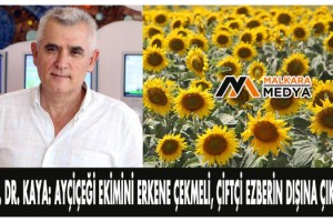 Prof. Dr. Kaya: Ayçiçeği ekimini erkene çekmeli, çiftçi ezberin dışına çıkmalı