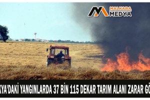 Trakya'daki yangınlarda 37 bin 115 dekar tarım alanı zarar gördü