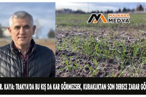 Prof. Dr. Kaya: Trakya'da bu kış da kar görmezsek, kuraklıktan son derece zarar göreceğiz