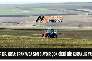 Prof. Dr. Orta: Trakya'da son 6 aydır çok ciddi bir kuraklık yaşadık
