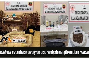 Tekirdağ'da evlerinde uyuşturucu yetiştiren şüpheliler yakalandı