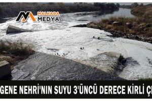 Ergene Nehri'nin suyu 3'üncü derece kirli çıktı