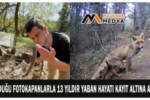 Malkara'da kurduğu fotokapanlarla 13 yıldır yaban hayatı kayıt altına alıyor