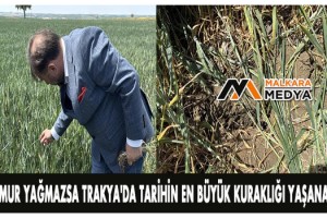'Yağmur yağmazsa Trakya'da tarihin en büyük kuraklığı yaşanacak'