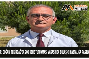 Doç. Dr. Doğan: Tekirdağ'da 200 kene tutunması vakasında bulaşıcı hastalığa rastlamadık