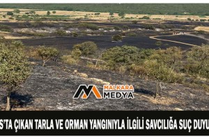 Saros’ta çıkan tarla ve orman yangınıyla ilgili savcılığa suç duyurusu