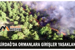Tekirdağ'da ormanlara girişler yasaklandı